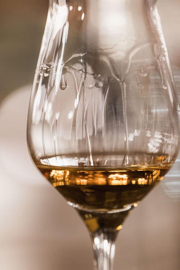 origins degustation cognac master