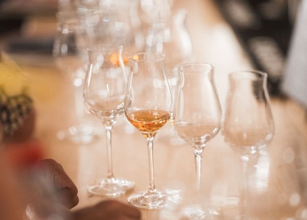 origins degustation cognac master